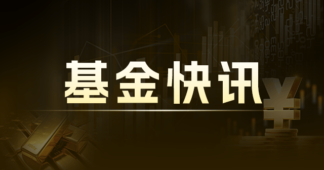 新基金：2025 年 1 月密集发售 增长态势稳